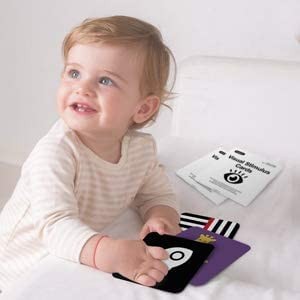 High Contrast Baby Flashcard, 80 Pcs 160 Page Black White Colorful Visual Sti…