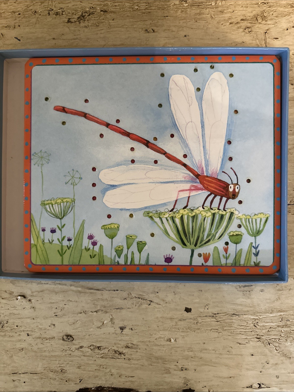 Vintage 2004 eeBoo More Friendly Bugs Lacing Sewing Cards 5 Cards & Laces