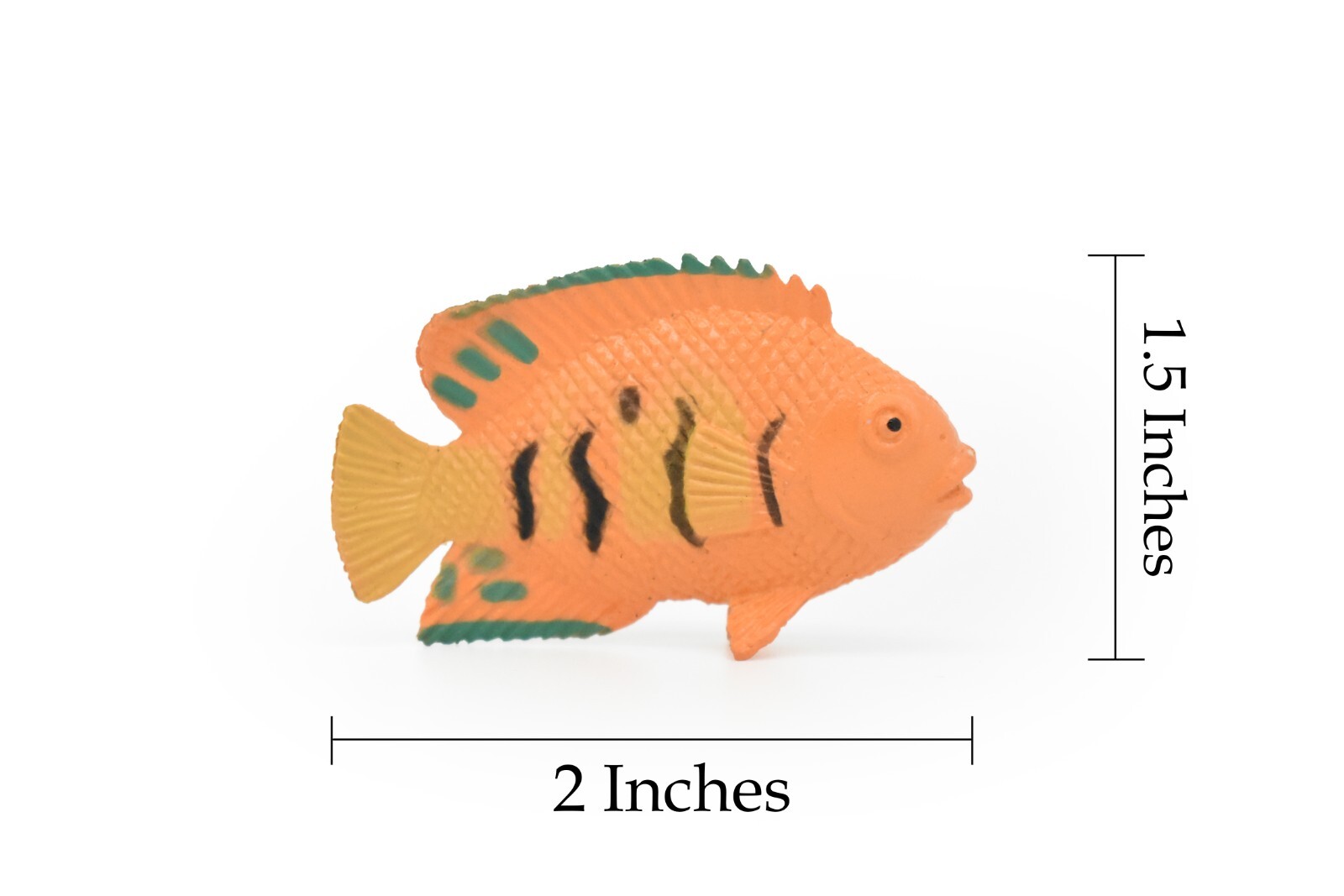 Angelfish Toy, Flame Ciclid, Realistic Tropical Fish, Plastic Replica 2″ CWG273