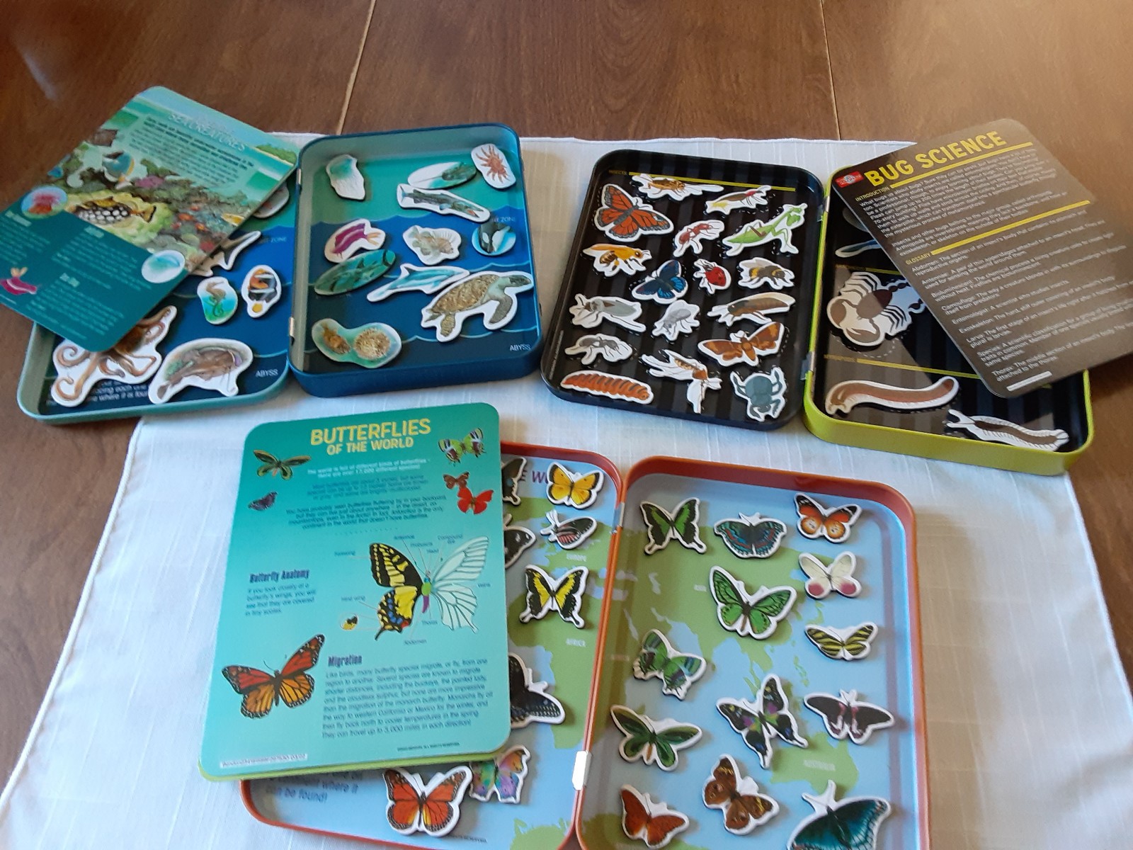 Magnetic Learning Activity Sea Creatures, Bug Sience & Butterflies STEM Bendon