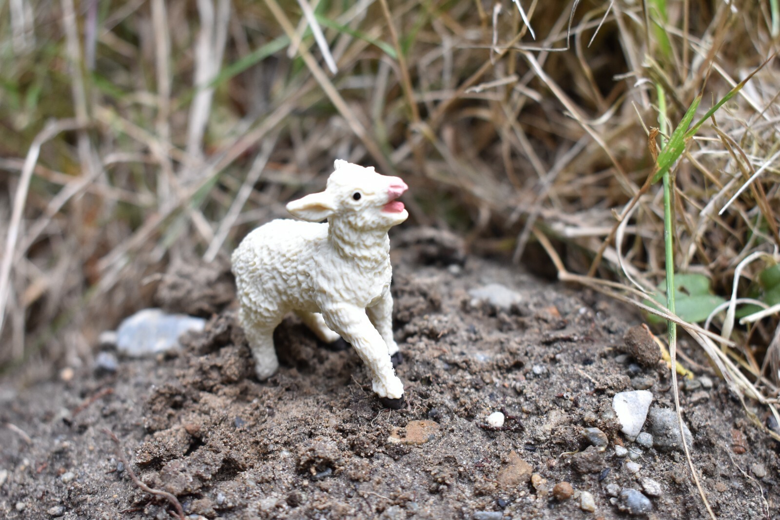 Sheep, Lamb Realistic Toy Model Plastic Replica Barn Farm Animal, 2.25″ F1313