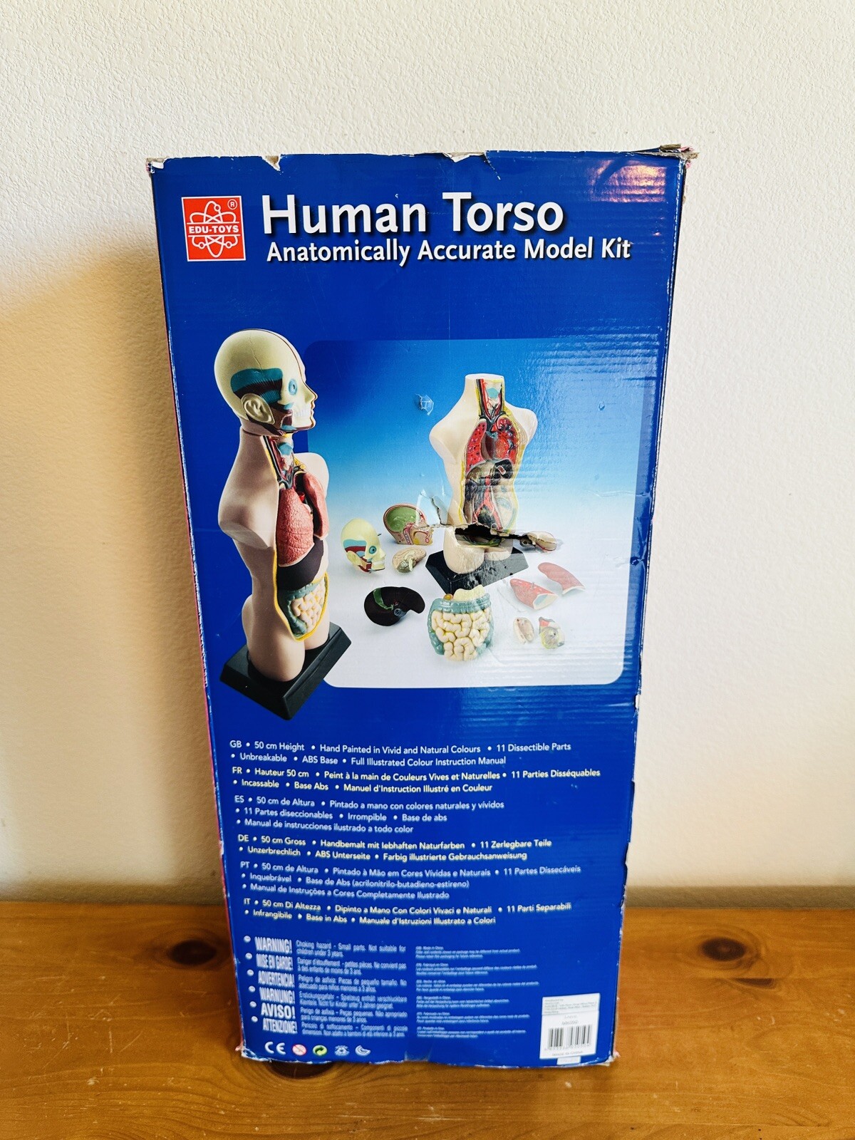 EDU-TOYS Human Torso Anatomically Accurate Model Kit 50cm Educational Complete