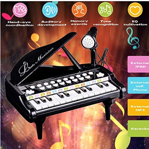 Toddler Piano – 24 Keys Black Baby Piano Toys with Microphone, Birthday Gifts…