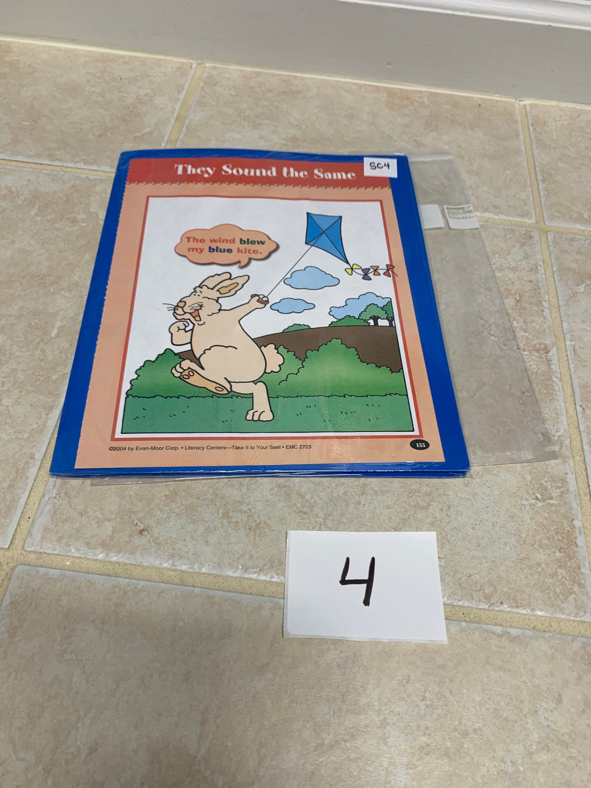 Teacher Made Literacy Center, Classroom Center-Homophones SC4