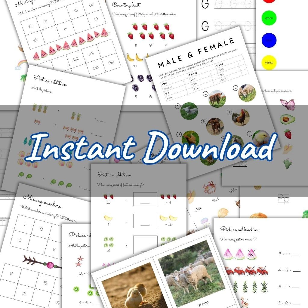 PreK-K Mega Montessori Bundle | 1000+ Digital Worksheets+Planners & Much More