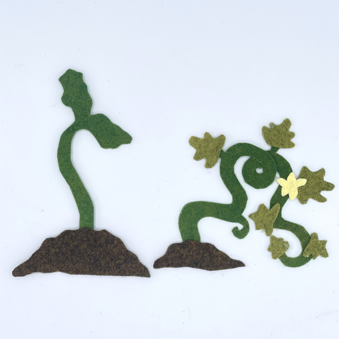 Pumpkin Life Cycle Felt Set for Felt or Flannel Board Play