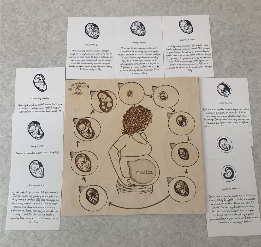 Lot of 3 Skumaj To Polish Anatomy Educational Puzzles – Milk Matters & More READ