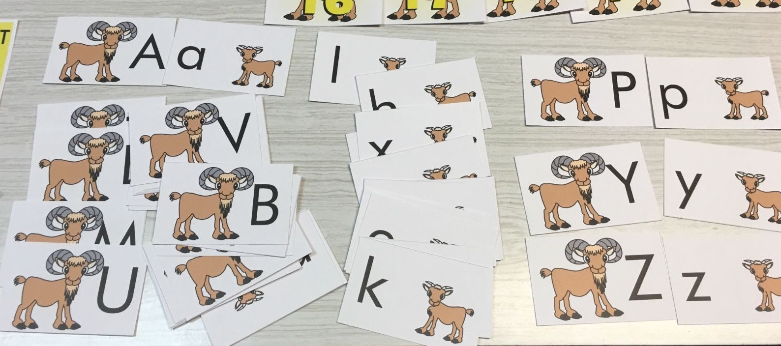 G0AT ABC’S UPPER & LOWERCASE MATCH CARDS -LAMINATED – Teaching supplies