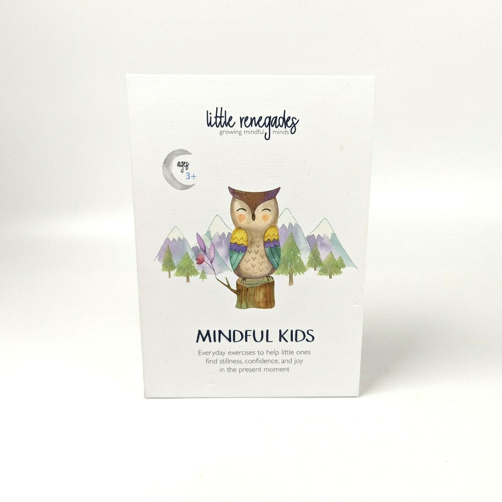 Little Renegades Mindful Kids Guided Meditation Cards Educational Montessori