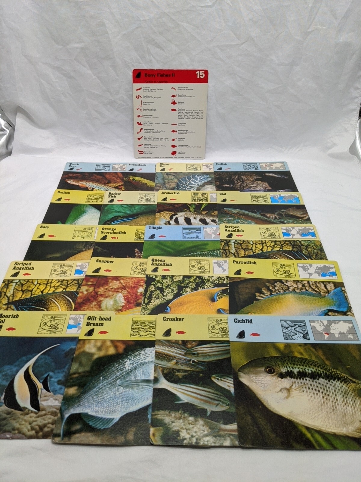 Lot Of (21) 1975 Rencontre Bony Fishes II Education Cards
