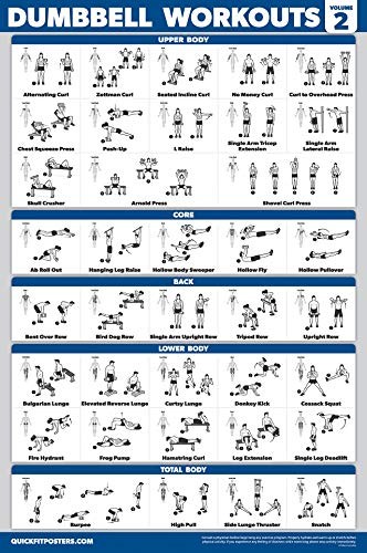 Palace Learning 3 Pack – Dumbbell Workout Posters for Home Gym – Volume 1, 2 & 3