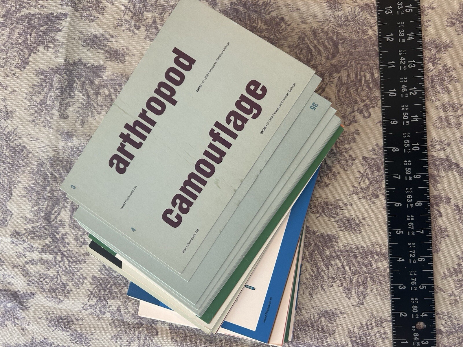 HUGE LOT A Beka Flashcards Multiplication Division Insects Flowers One-Vowel