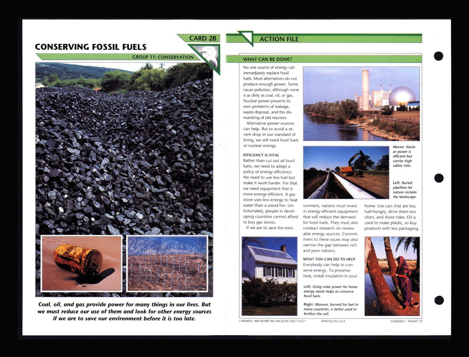 Conserving Fossil Fuels Wildlife Fact File Card Conservation Home School 11.28