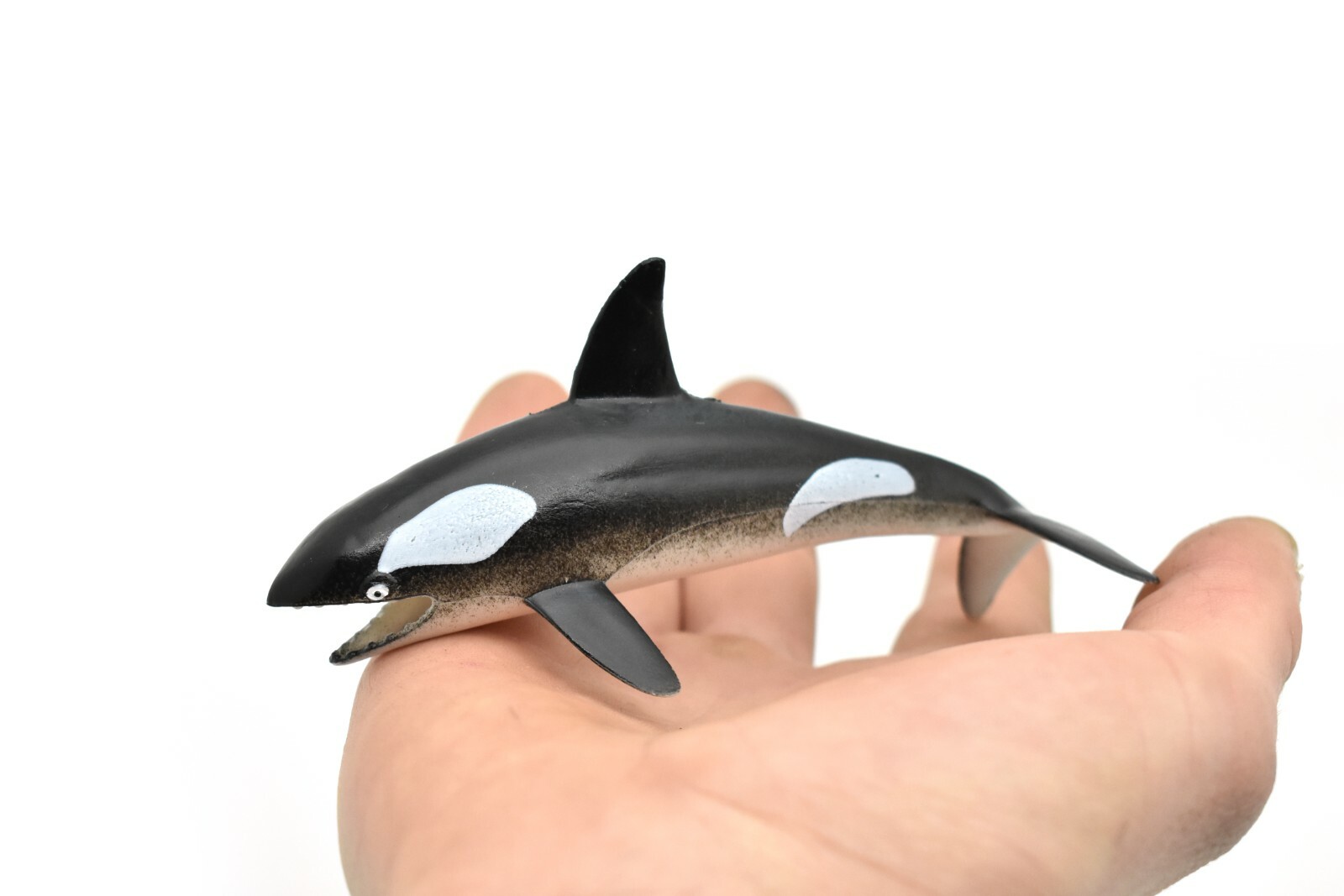Orca, Killer Whale, Hollow Rubber Replica 5″ Long ~ F0020-B22