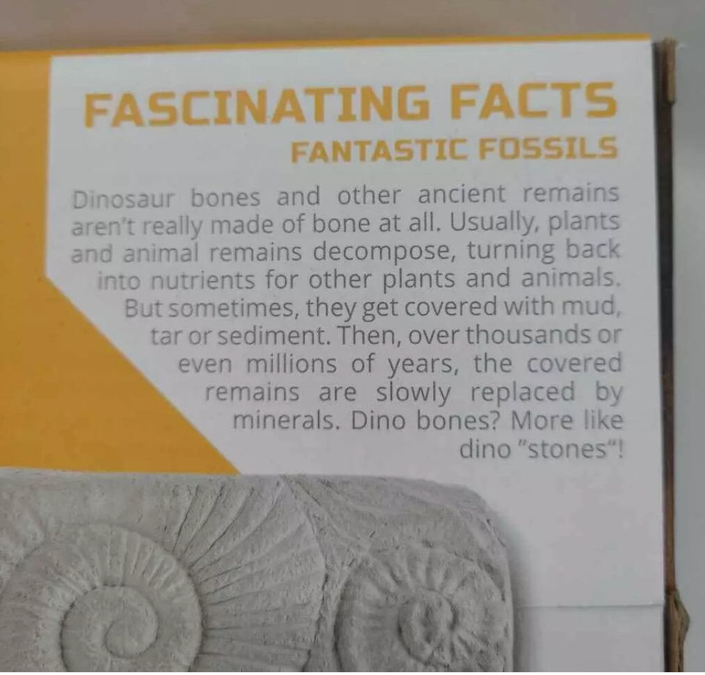 DISCOVERY #Mindblown Colossal Fossil Dig Excavation Kit, juguetes de aprendizaje