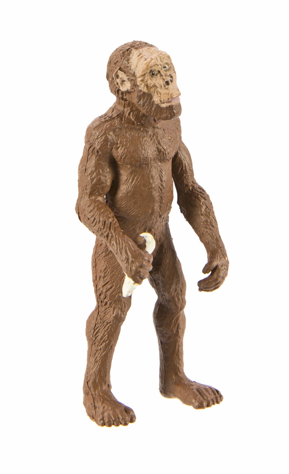 Safari Ltd. Evolution of Man Set – Detailed Educational Human Medium