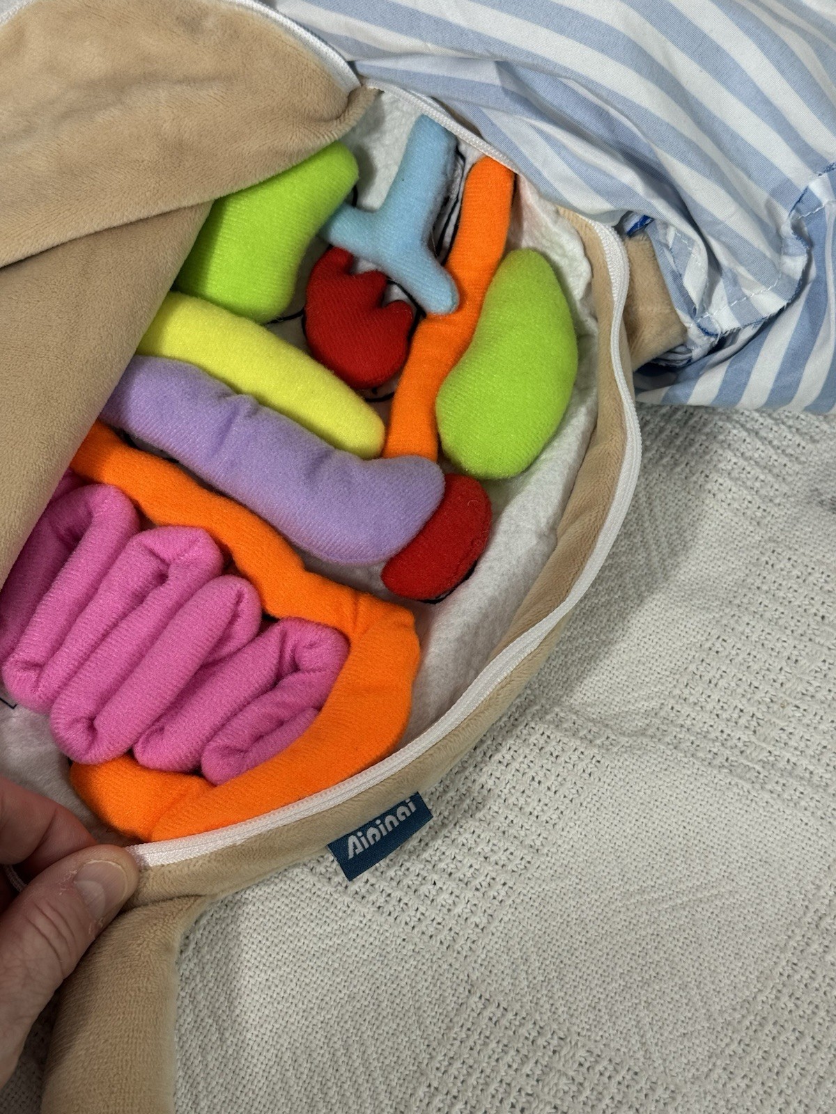 Human Body Anatomy Doll 3D Surgery Prep Plush Organs Educational Toy