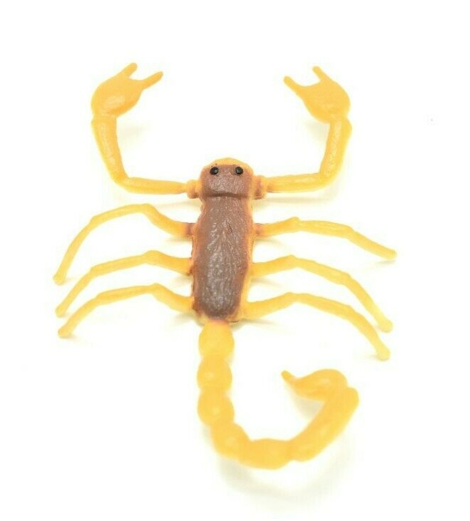 Scorpion Orange Black Plastic 2.5 inches Length – F1055 B190