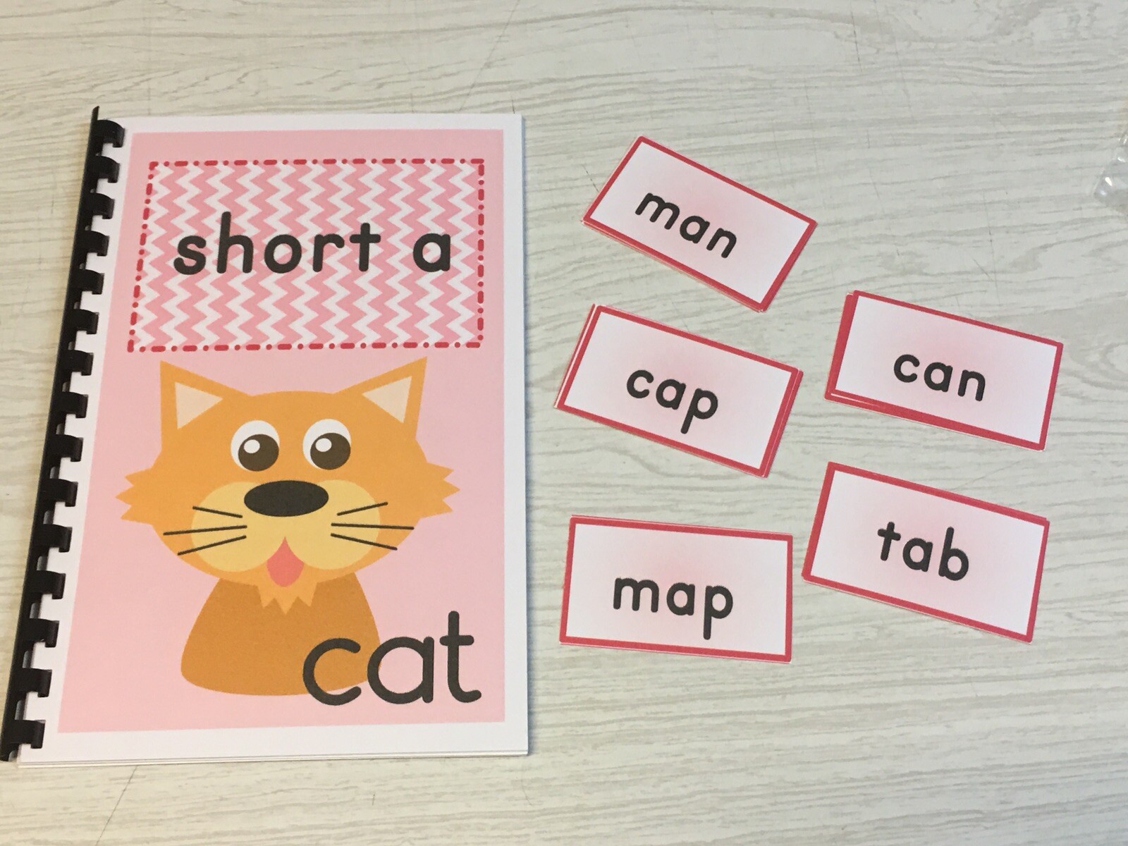 Interactive Learning Books for Children – Short “a” book – w/ 12 Laminated Cards