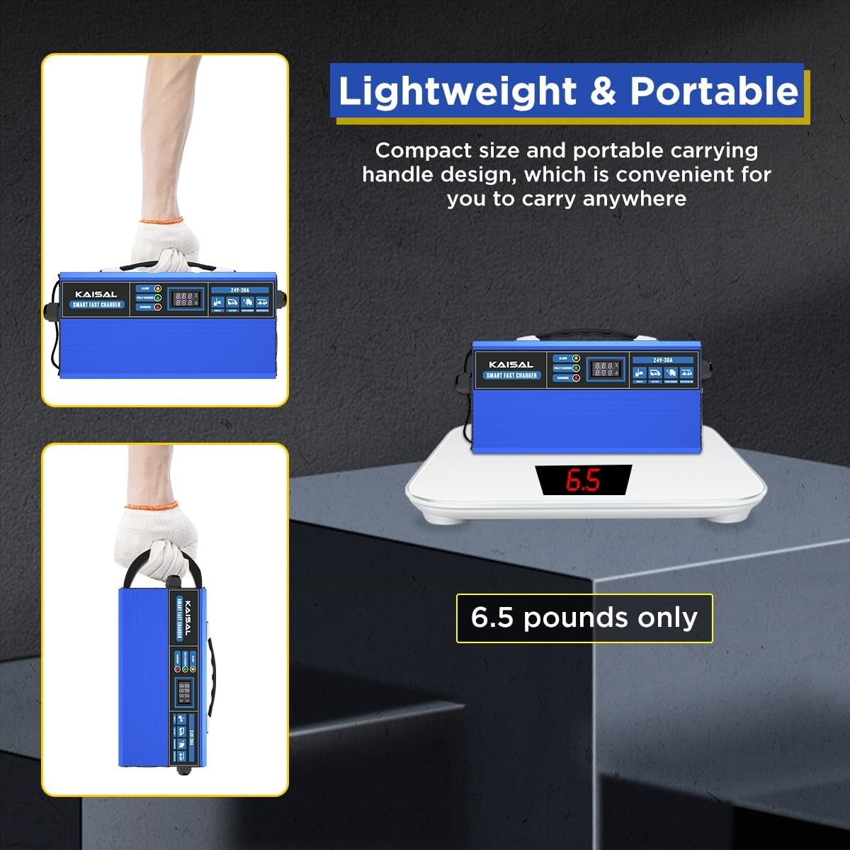 Forklift Battery Charger 24V 30A Smart 24 Volt Charger 900W Fully-Auto LCD