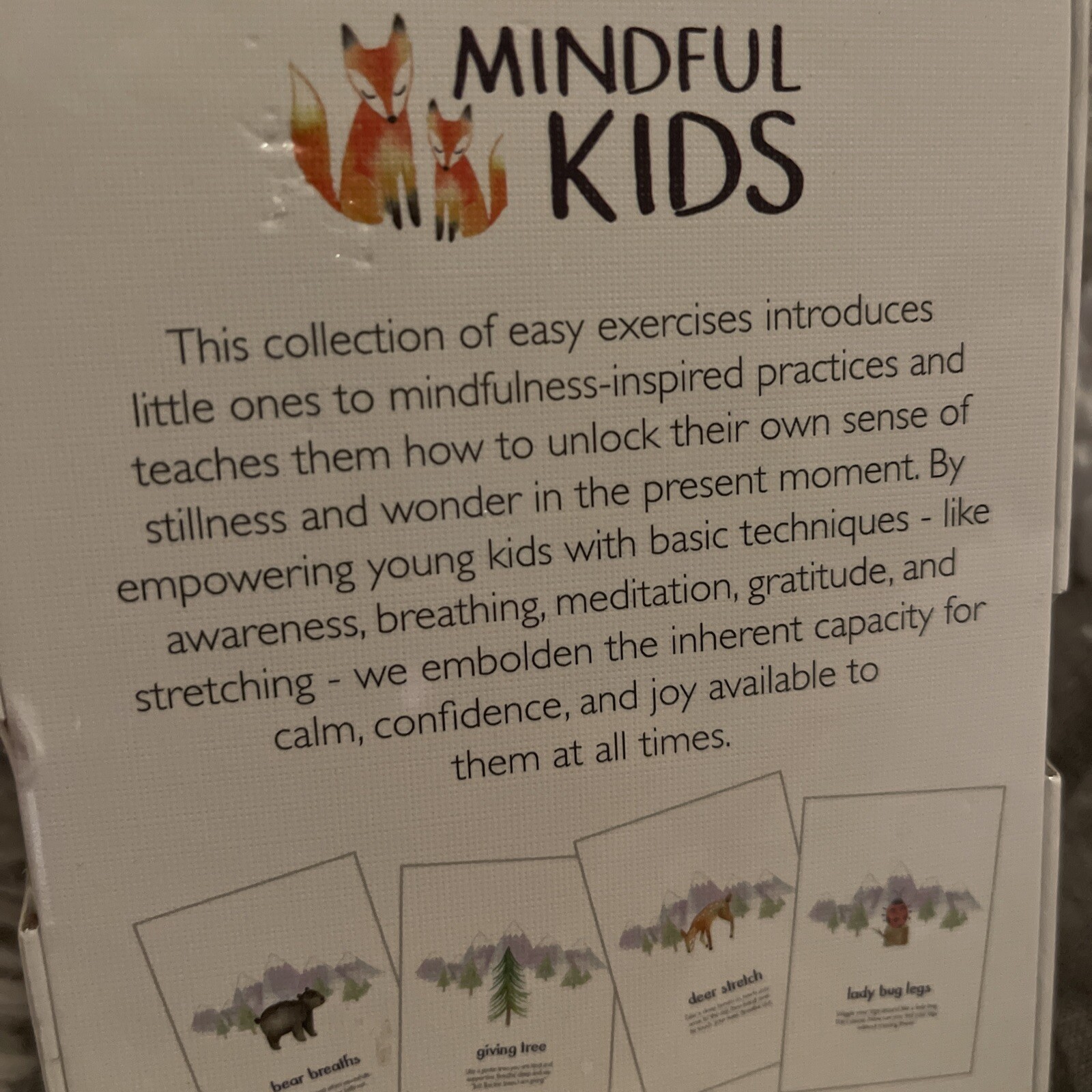 NEW Little Renegades Mindful Kids Cards: Everyday Exercises for Confidence & Joy