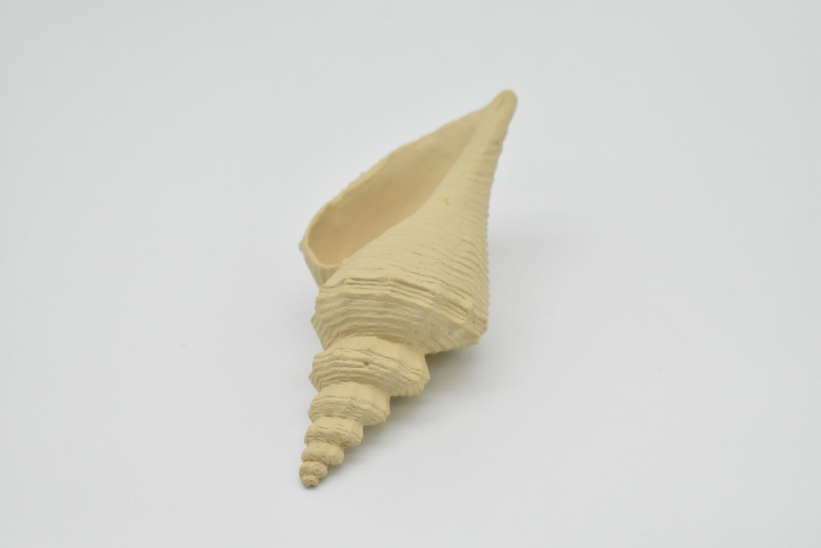 Tuba Shell Toy, White, Sea Snail, Ocean, Sea Shell, Gift, 3″ F4112 B96
