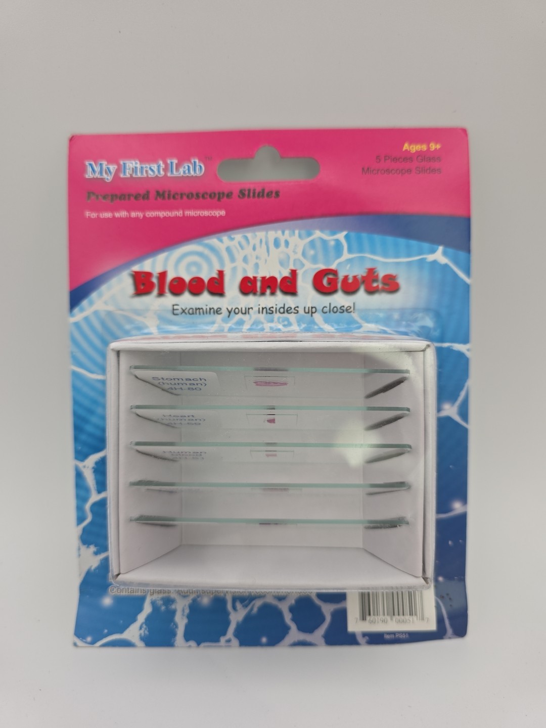 My First Lab Prepared Microscope Slides Blood And Guts PS51 Homeschool Science