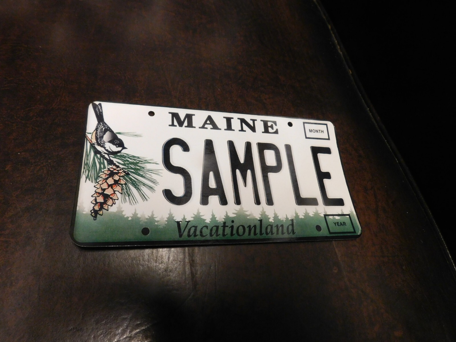 Flash Card Miniature Glossy Paper License Plate 2001 Series Sample Maine