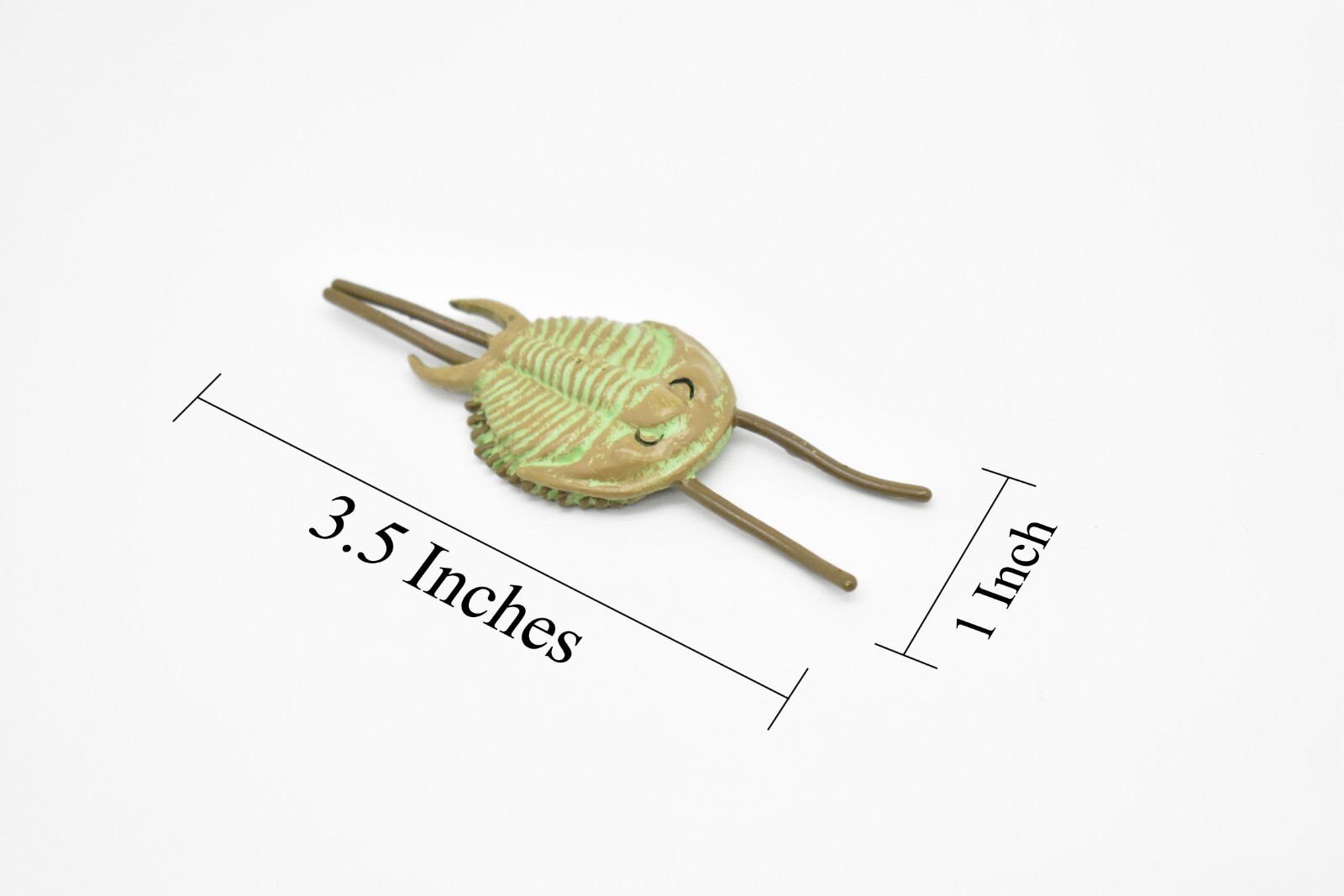 Tricrepicephalus, Trilobites, Fossil Toy Cambrian Sea Animal, Realistic Model