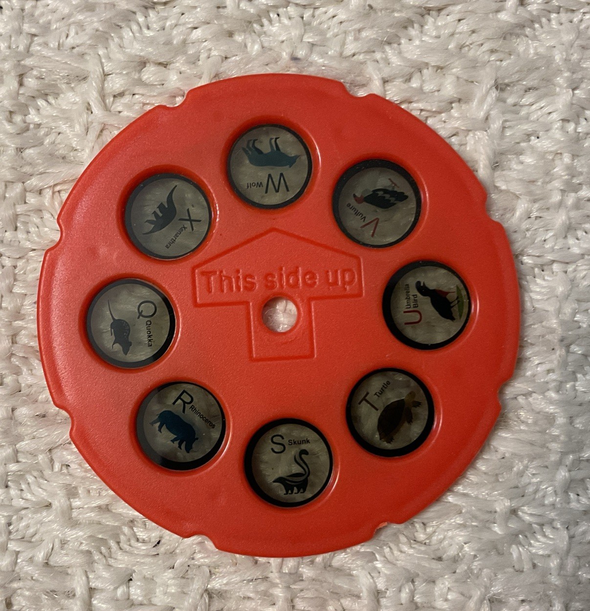 Animal Planet Fun to Trace Projector – 4 REPLACEMENT DISKS Only