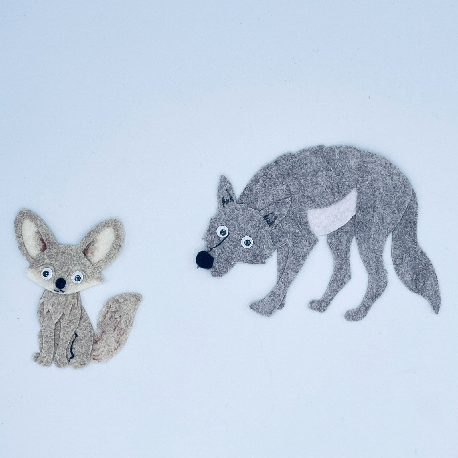 Desert Life Felt Story Set – Desert Habitat Animals