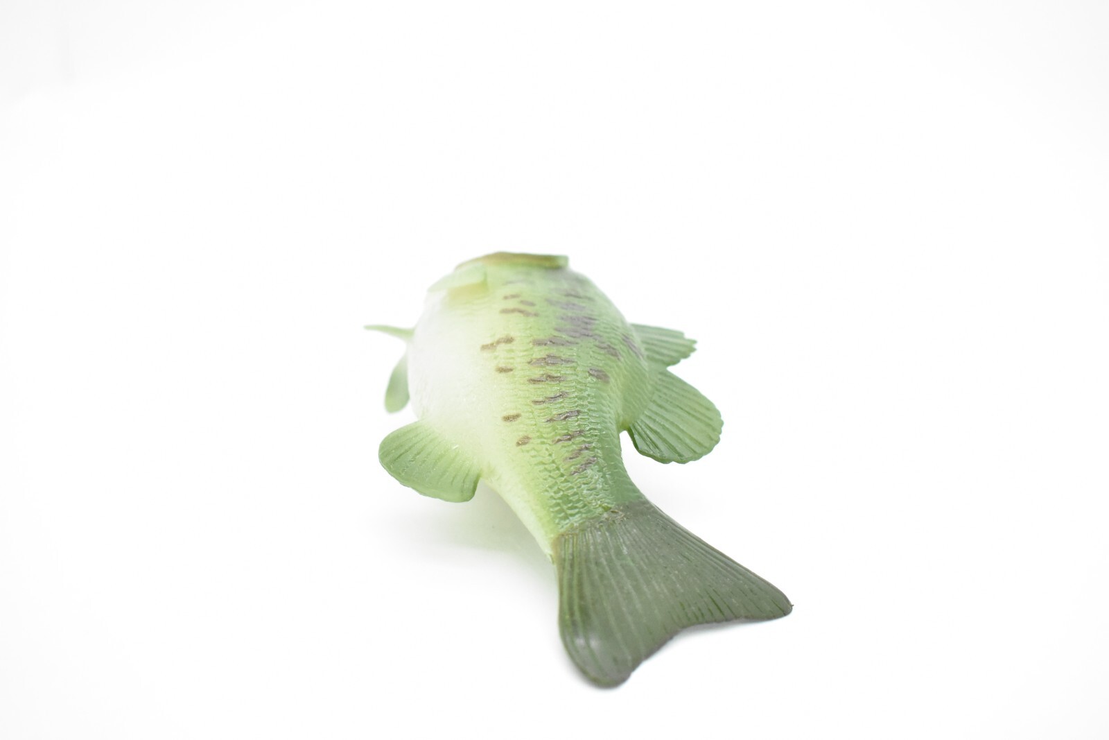 Largemouth Bass, Fish, Realistic Rubber Model, Hand Painted Toy Figurine 6″
