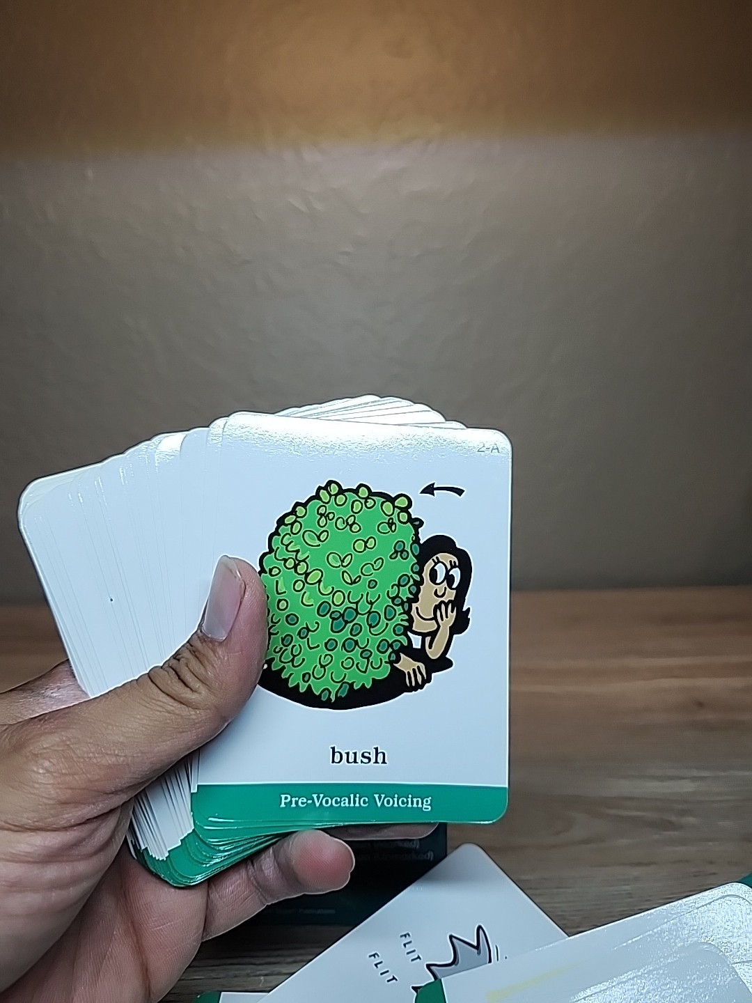 Webber Phonological Awareness Speech Voice Vocabulary 128 Cards Deck