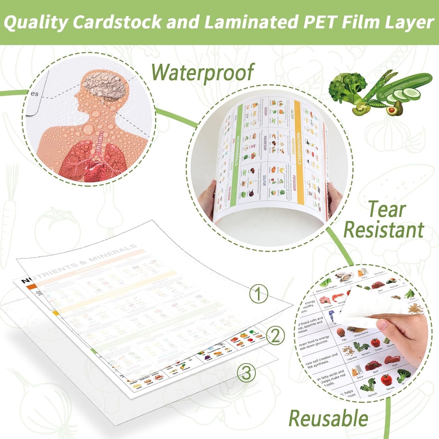 5 Piece Vitamin and Mineral Chart Laminated Food Poster for Kitchen Classroom