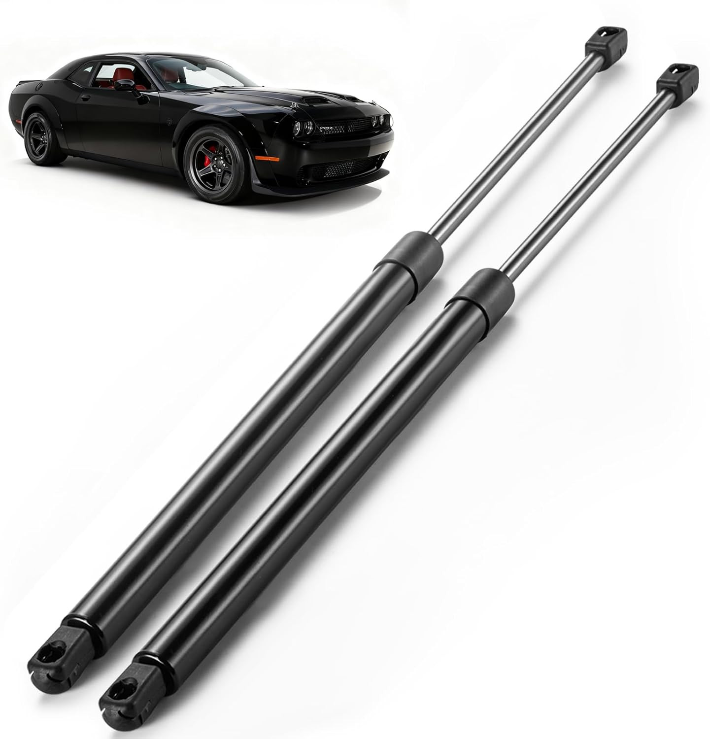 ARANA Trunk Lift Supports Struts 08-20 Dodge Challenger No Spoiler 2pcs Shock