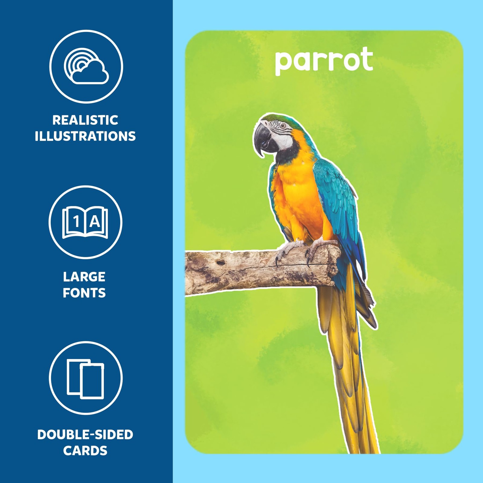 Multicolor Animal Flash Cards For Toddlers Educational Learning Fun 50 Cards