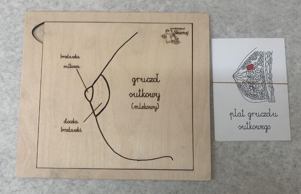 Lot of 3 Skumaj To Polish Anatomy Educational Puzzles – Milk Matters & More READ