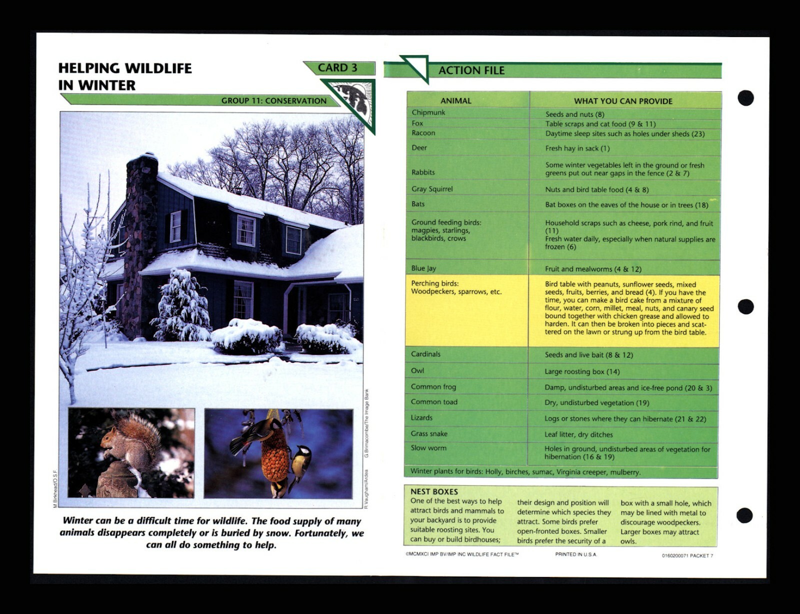 Helping Wildlife in Winter Fact File Card Conservation Home School 11.3