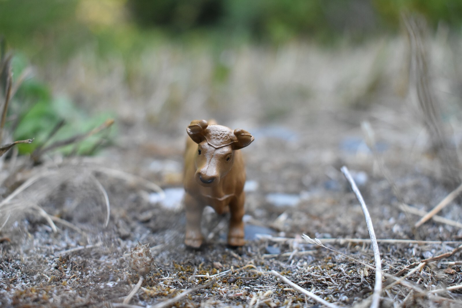 Cow, Brown Bull Realistic Small Toy Model Plastic Replica Barn Farm Animal F4149