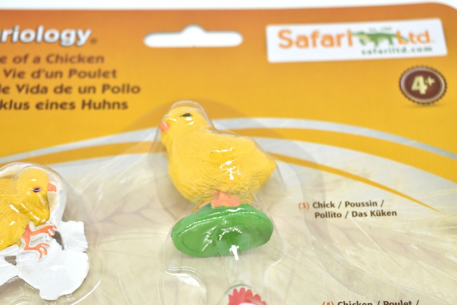 Chicken, Life Cycle, Realistic Toy Plastic Replica model set, Kids Gift F3684