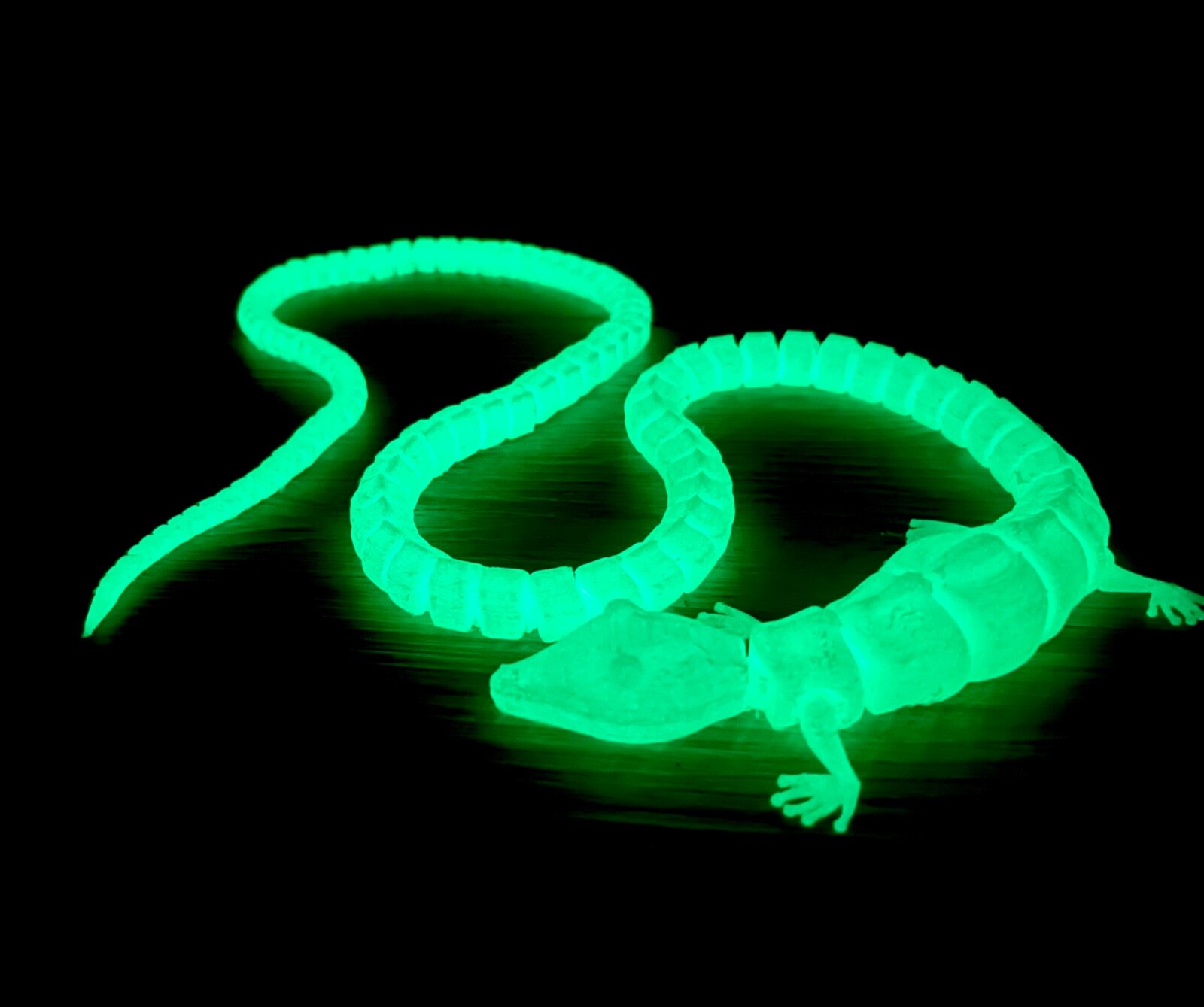 3D Printed Long Tailed Gecko Fidget Toy 42 inch long lizard custom colors
