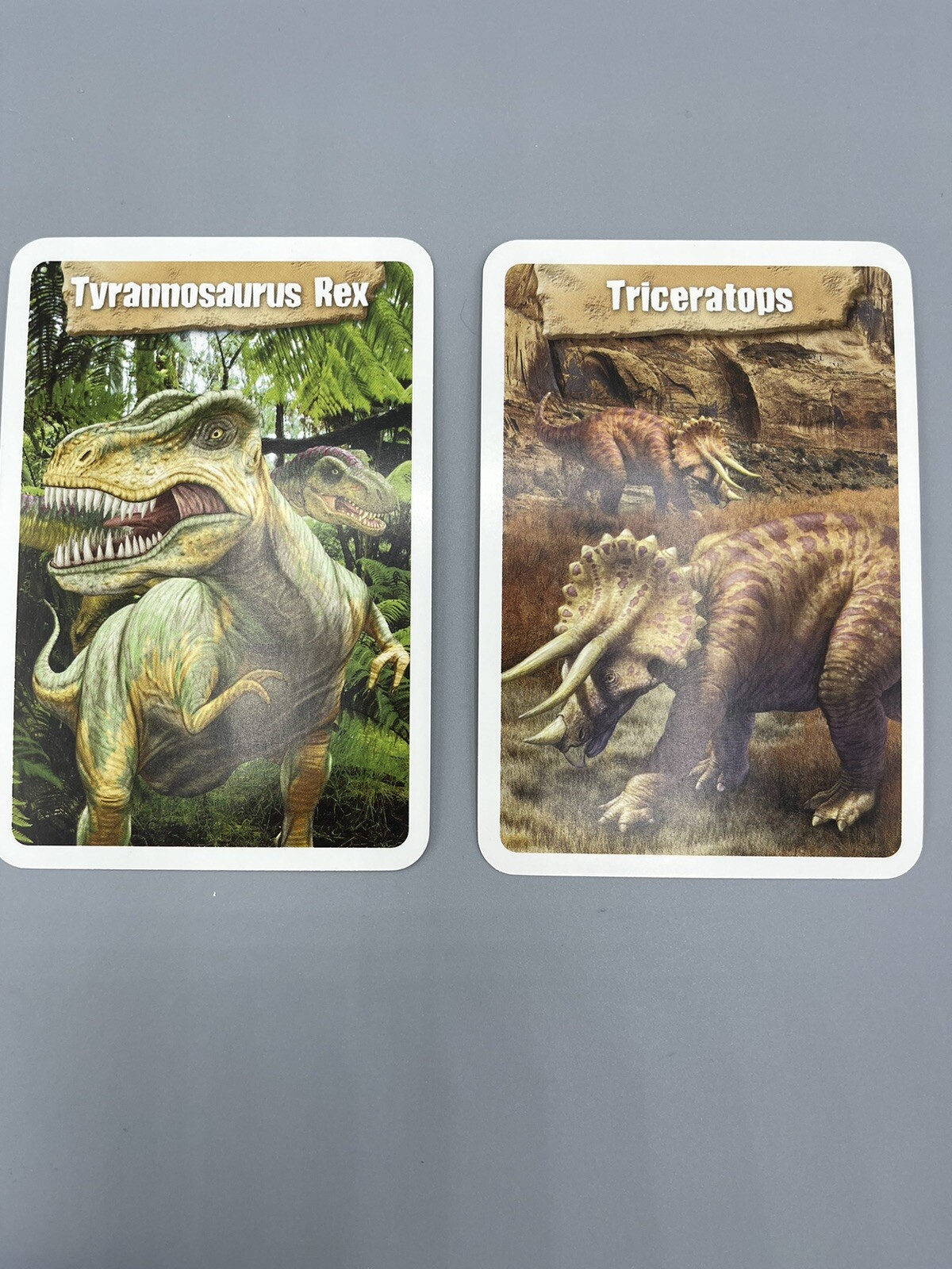 Bendon Dinosaurs Our World Flash Cards 36 Flashcards New