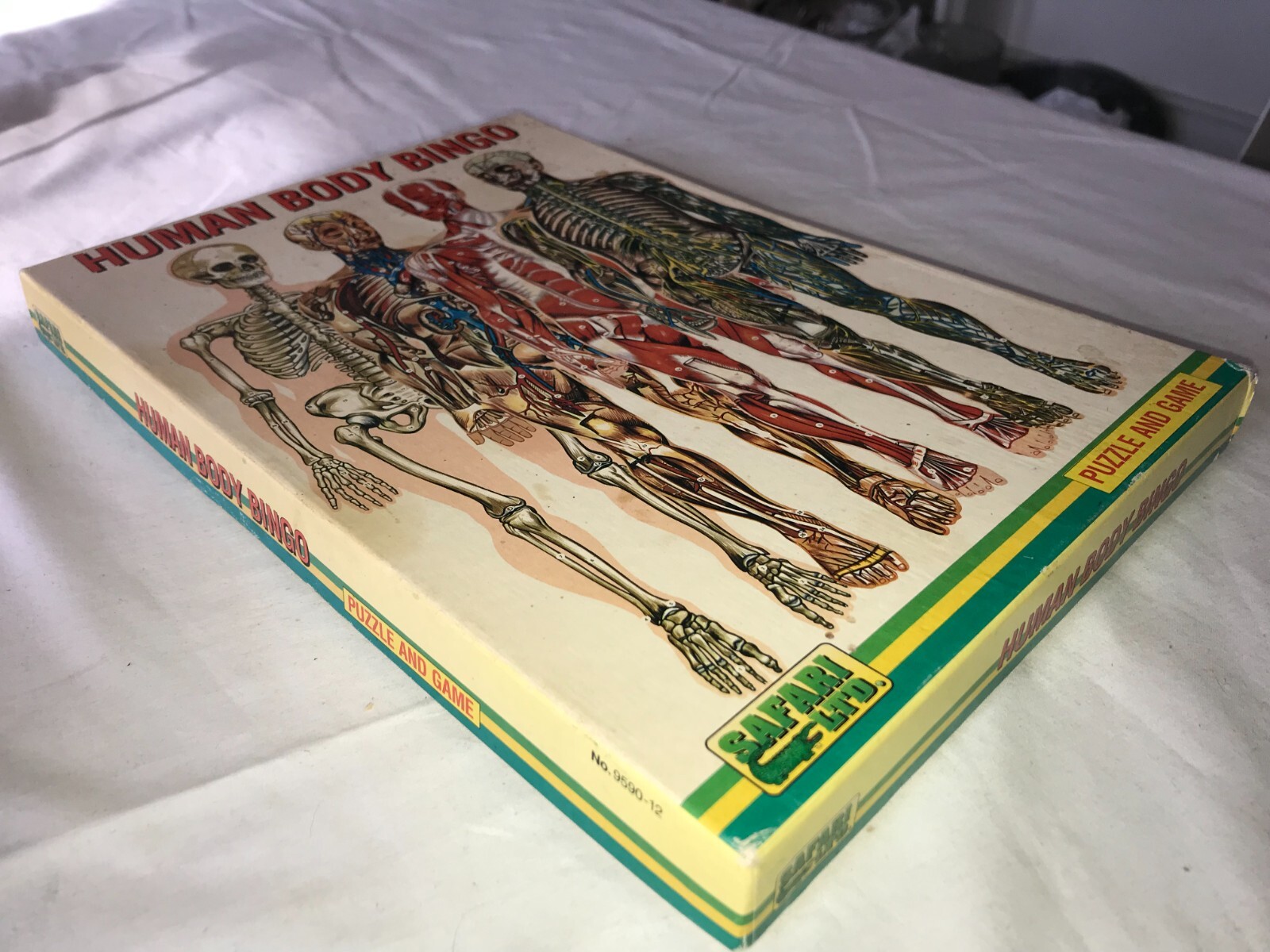 Vintage SAFARI LTD 9590-12 HUMAN BODY BINGO Puzzle & Game ANATOMY Complete w BOX