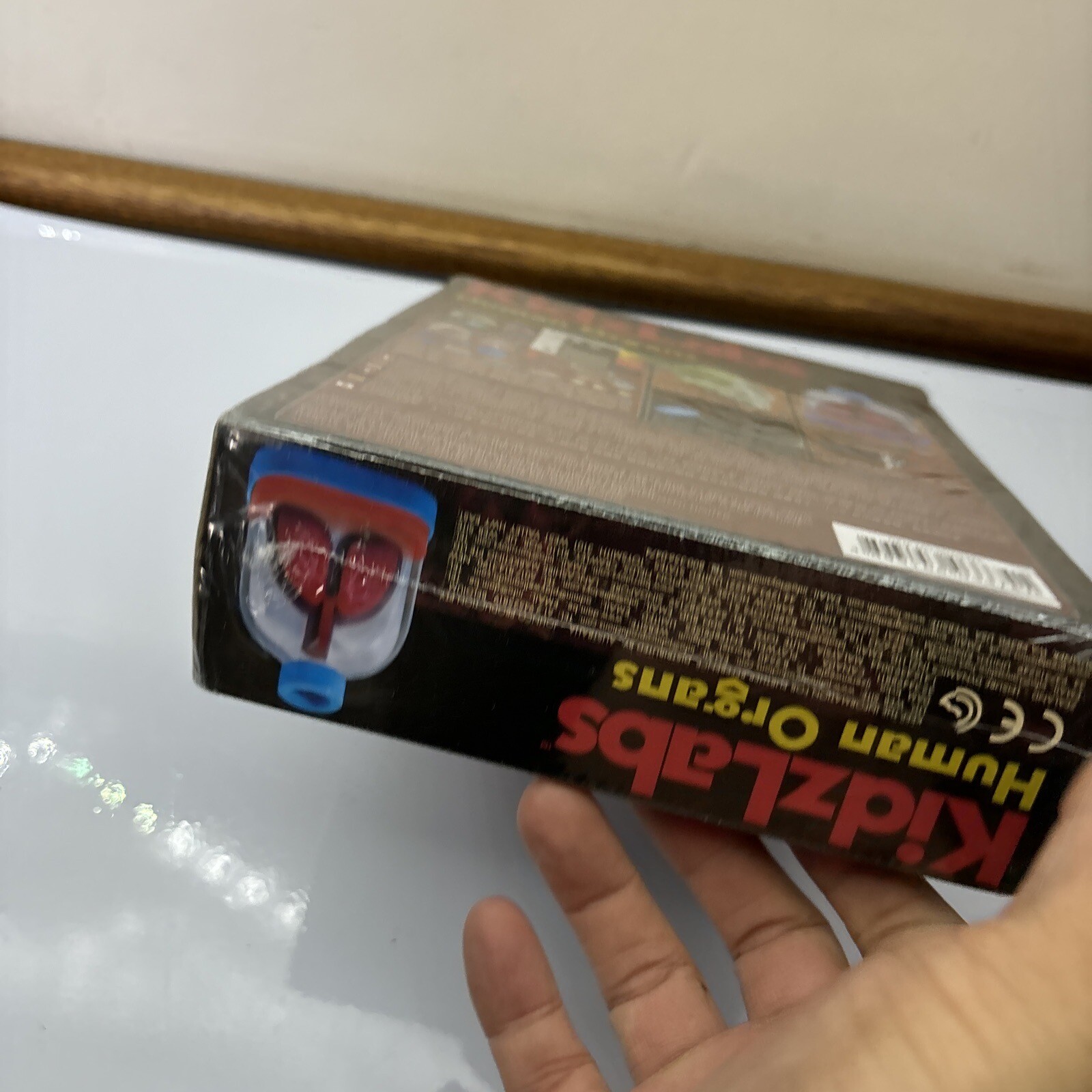 KidzLabs – Human Organs Models *New Sealed*
