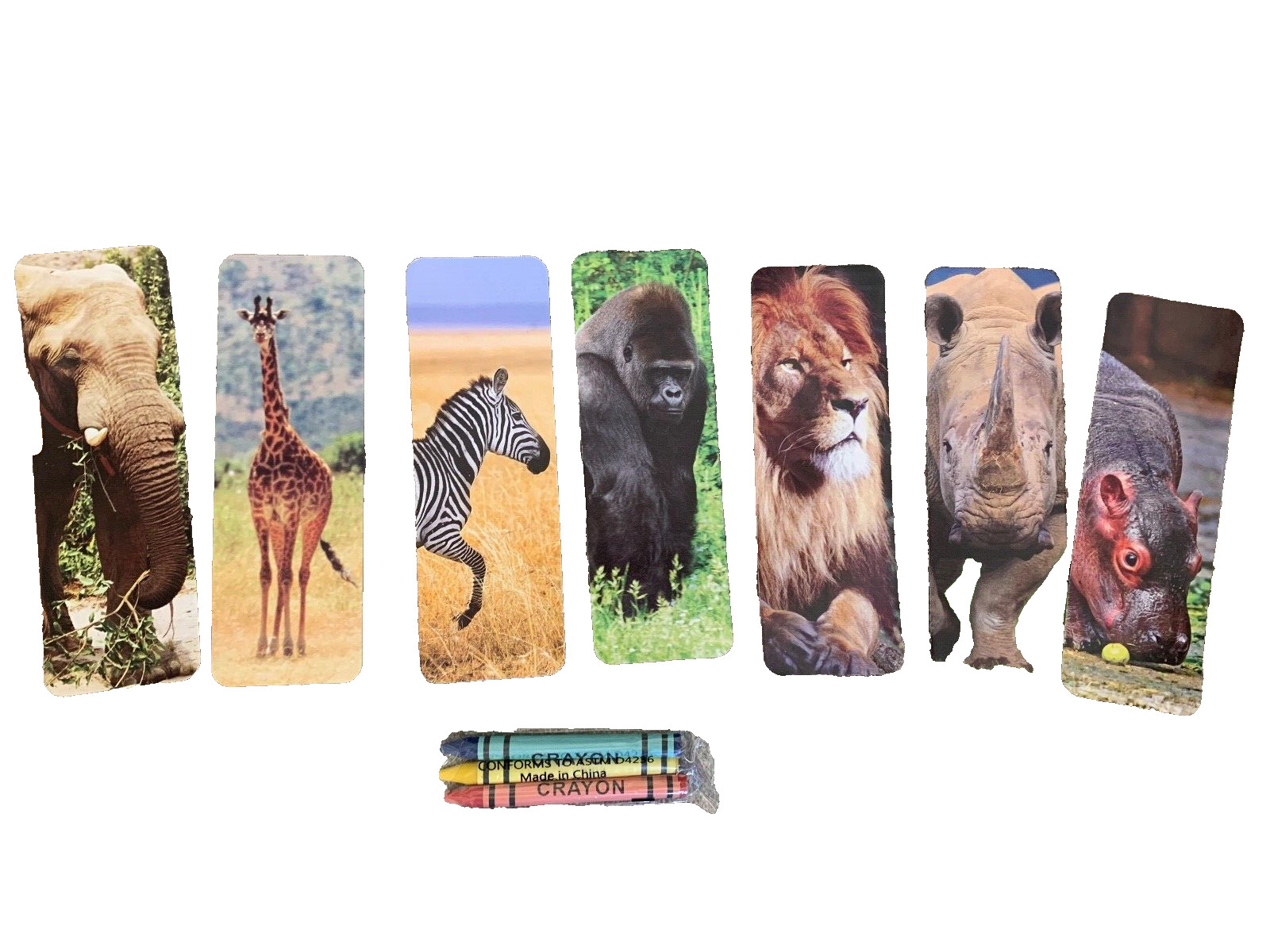 Kids DID YOU KNOW Cards African Safari Animals & Crayons Learning Educational