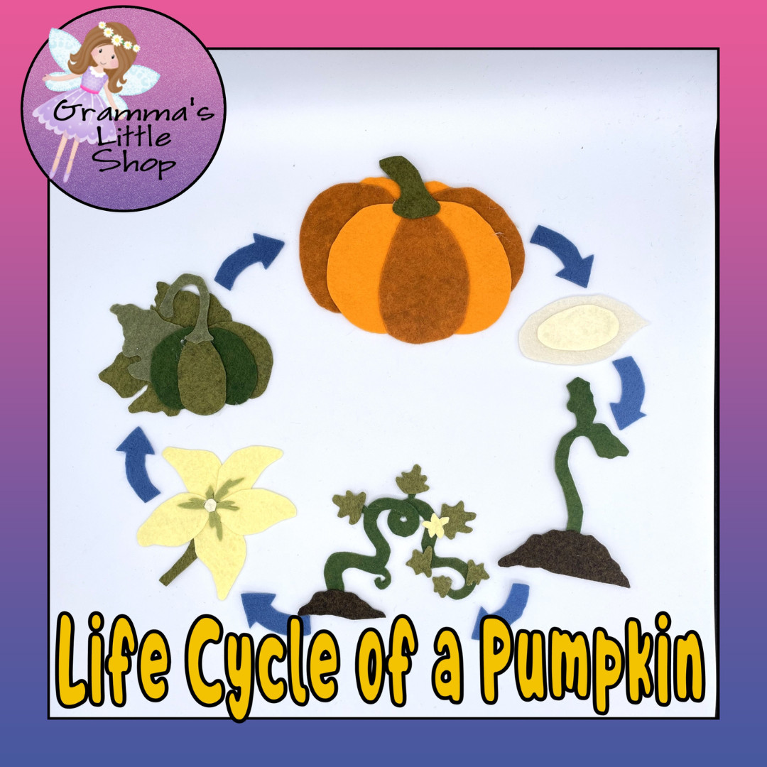 Pumpkin Life Cycle Felt Set for Felt or Flannel Board Play