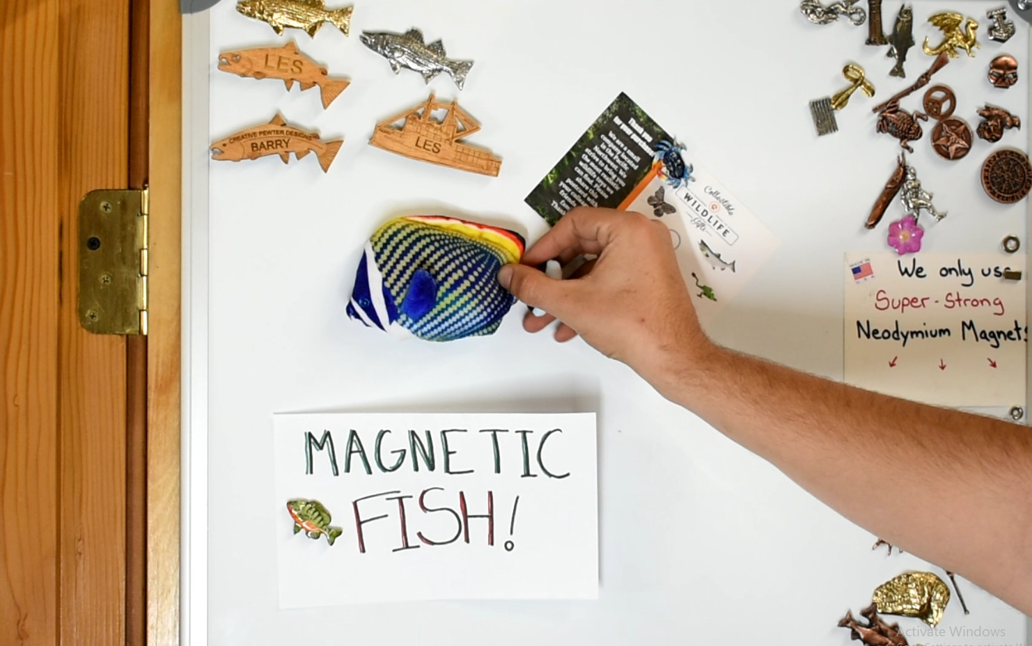 Butterfly Fish, Redtail,Tropical Fish Magnet, Soft Stuffed Fish Toy CWG34BB3