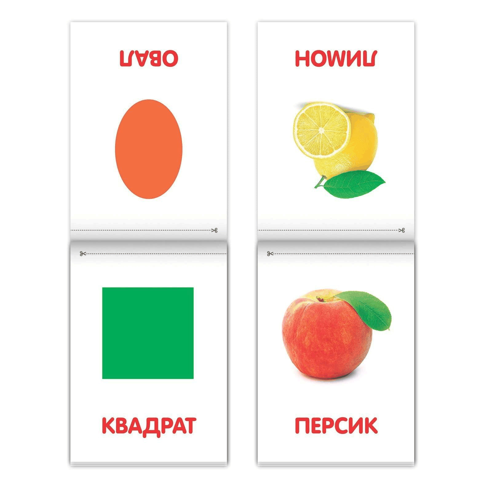 Doman Method Russian Flashcard Book Set for Learning Set 8 Topics from Farm