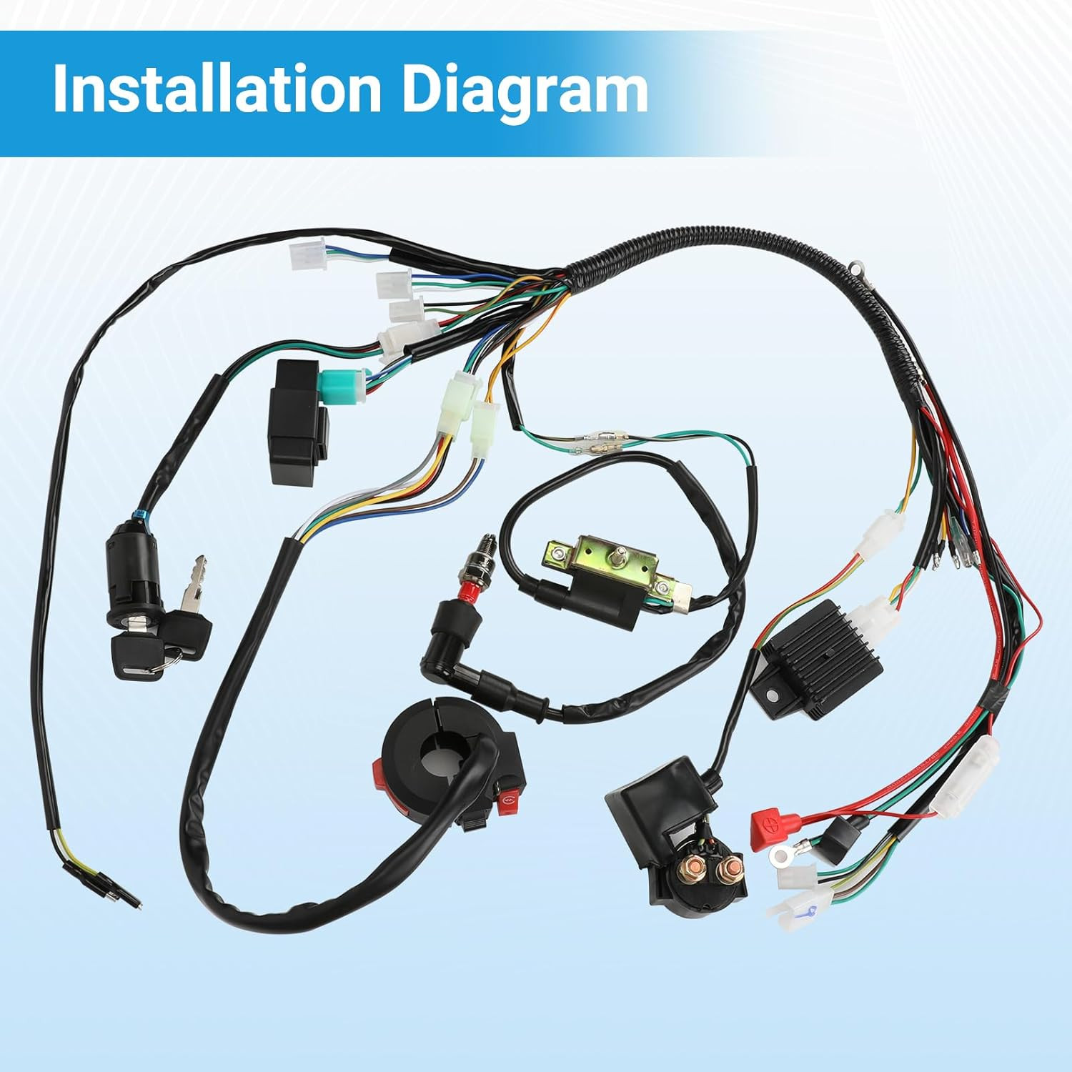Electric Wiring Harness Kit Compatible with Taotao Coolster 110Cc 125Cc Chinese