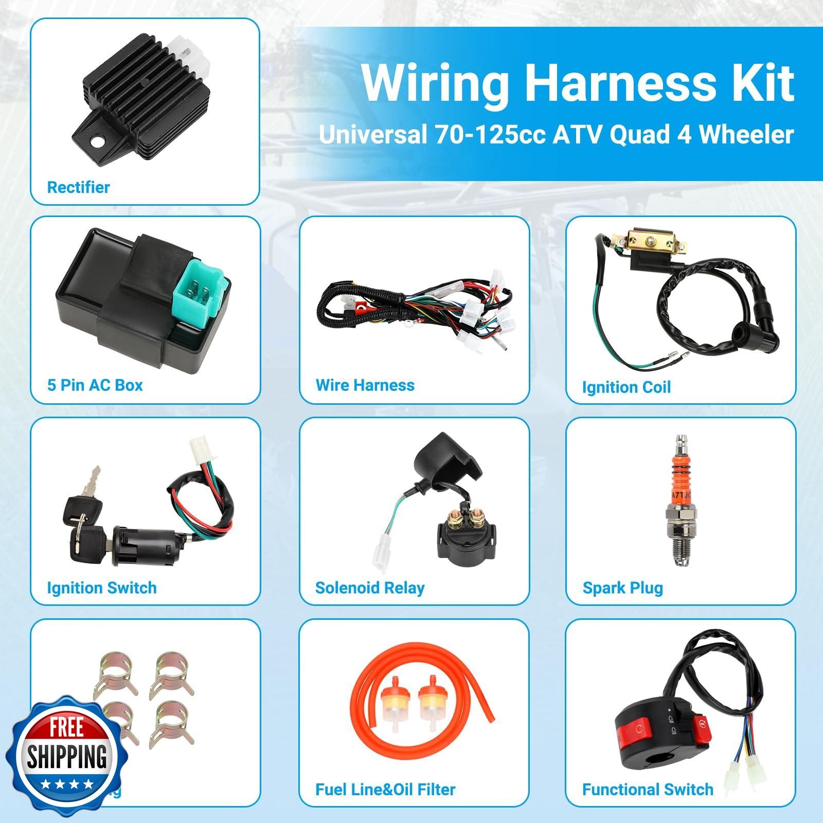 EOPOAYI Electric Wiring Harness Kit Compatible with Taotao Coolster 110cc 125